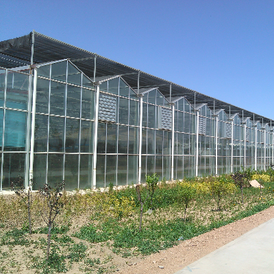 China Venlo Glass Greenhouse For Saudi Arabia