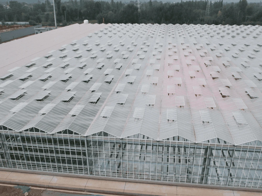 Smart Greenhouse For Sale Smart Greenhouse For Sale